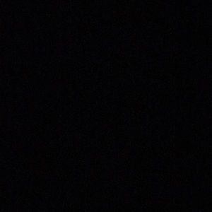 Meet your Posher, Rayla